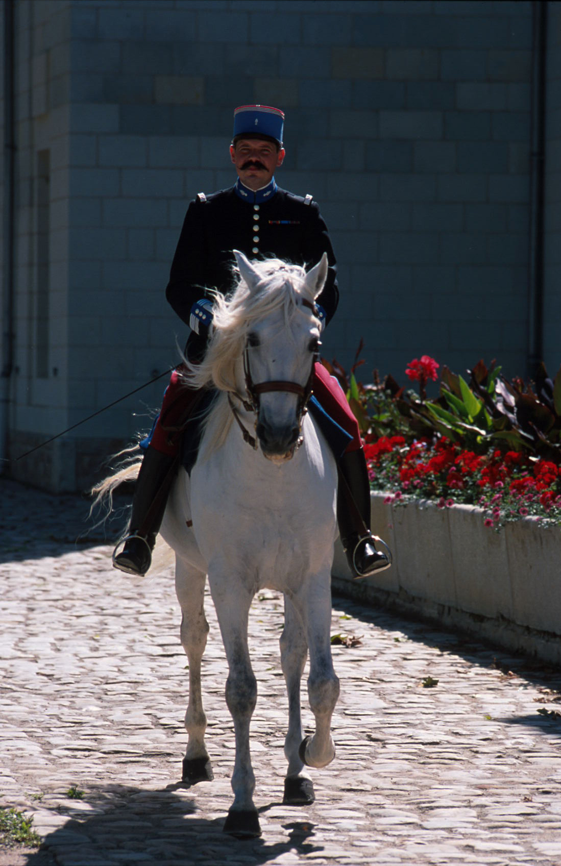 conrad