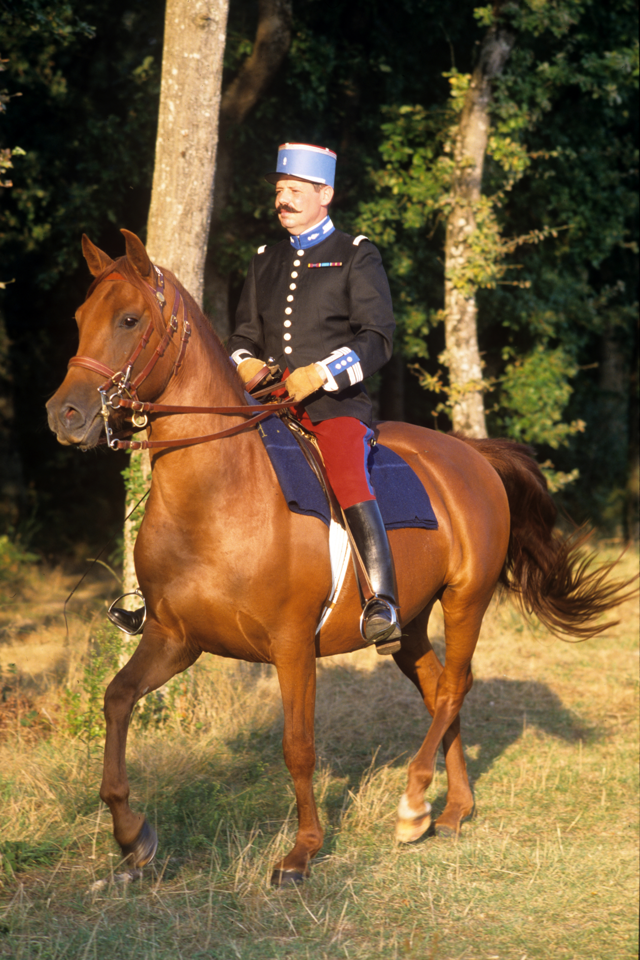 conrad